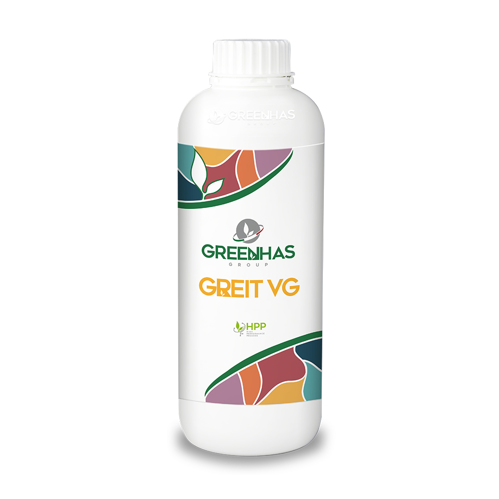 Greit VG